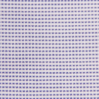 Thomas Mason Royal Oxford 100/2 Shirt