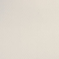 Thomas Mason 皇家斜紋 100/2 襯衫